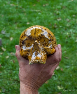 Bideford Kiln Fired Skull (1 of 1)